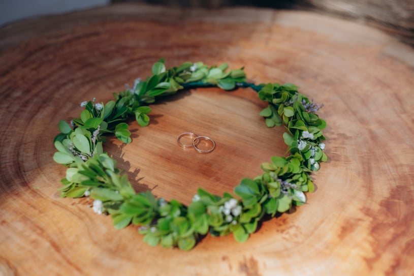 Alianças feitas por mim